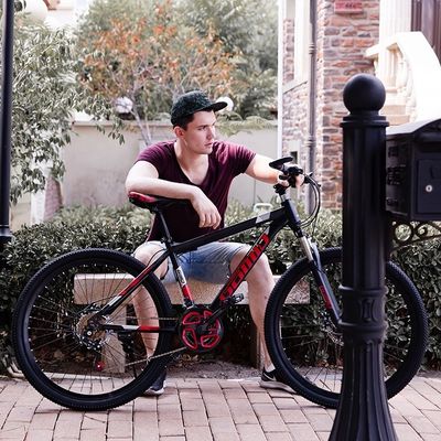 200 kg laadvermogen staal frame mountainbike 27.5 inch OEM Velo voor aangepast