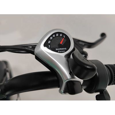 500w 48v Vorderlicht Elektrofahrrad Fettreifen Ebike Offroad Vollfederung Retro Fettrad