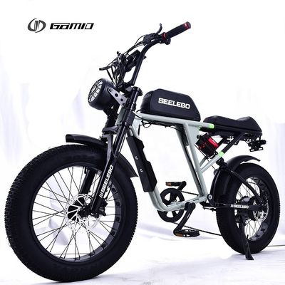Elektrofahrrad GOMID 750W 48V 20 Zoll E Bike Mountain Fat Tire Ebike mit Hochleistungsmotor