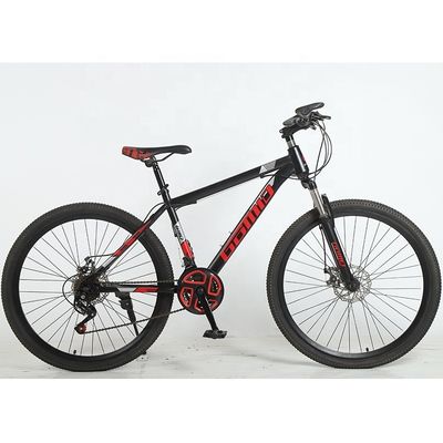 29 inch Mountain Bike 24 Speed OEM fiets met stalen vork en aanpasbare opties
