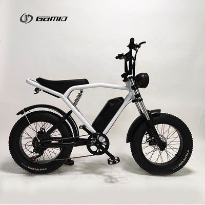 48V 500W City Bike Langstrecken-Retro-E-Bike mit leistungsstarker Lithiumbatterie und Scheibenbremse