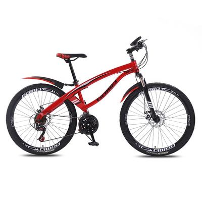 Op maat gemaakte fiets OEM fiets Stijl Persoonlijkheid differentiatie Handleargreep Comfortabele rubbergreep 20 24 26 Inches mtb fiets