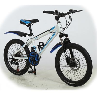 Disc Brake 20 Zoll Mountainbike für Jungen Custom Kinder Infantil Kinder Fahrrad