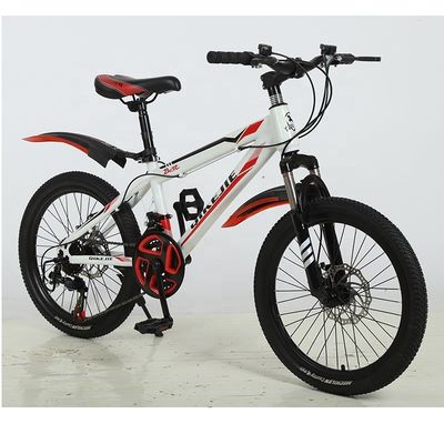 angepasste Kinder Fahrräder 20 Zoll Mountain Bike für Jungen Rad Typ
