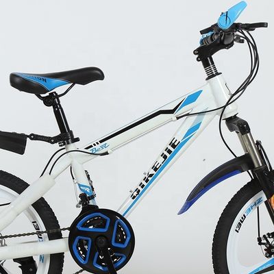 angepasste Kinder Fahrräder 20 Zoll Mountain Bike für Jungen Rad Typ