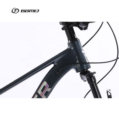 172-182CM Rider's Dream Mountain Bike met aanpasbare hydraulische groep en SENSAH RD 10S Achterste Derailleur 10 12speed Fiets