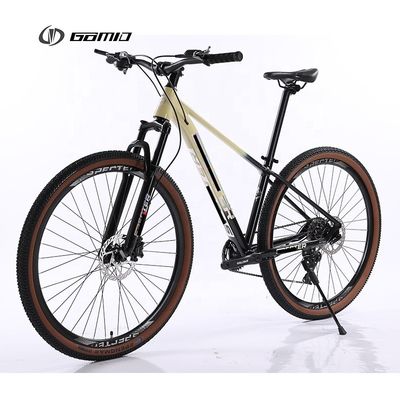 Custom 10 12 Speed Alloy Bicicleta für Mann XC MTB Bike 29 Zoll Hydraulic Groupset Mountain Bike im Lichtblauen schwarzen Stil