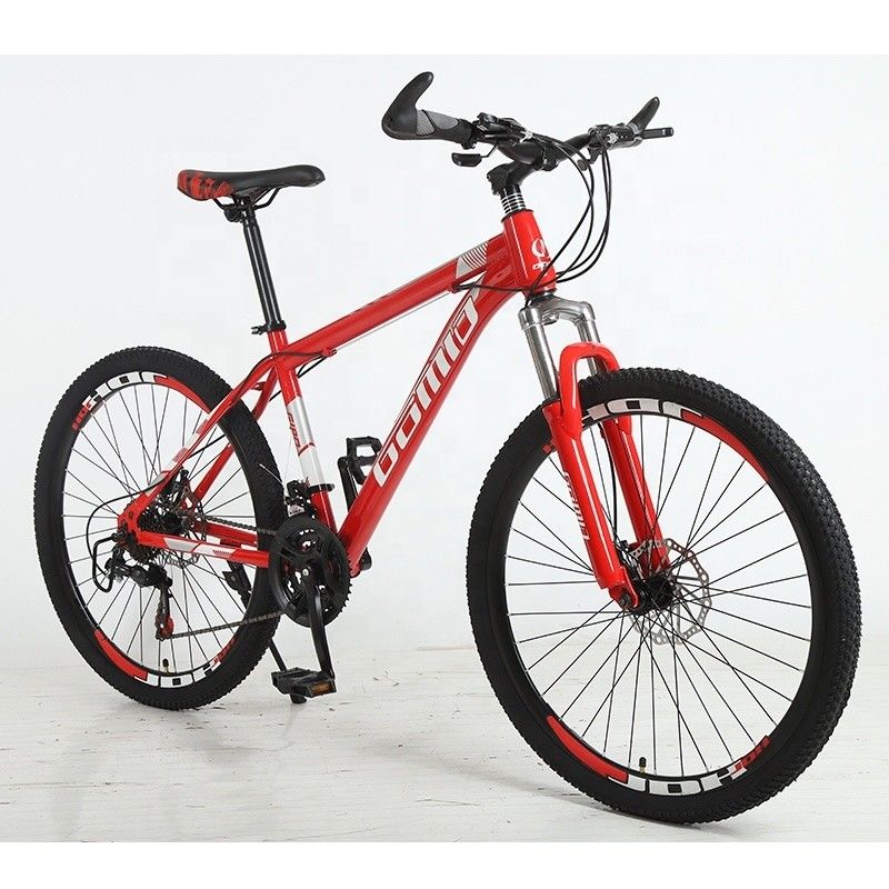 Anpassbares OEM Mountainbike Fahrrad 27.5 29 Zoll für den internationalen Markt