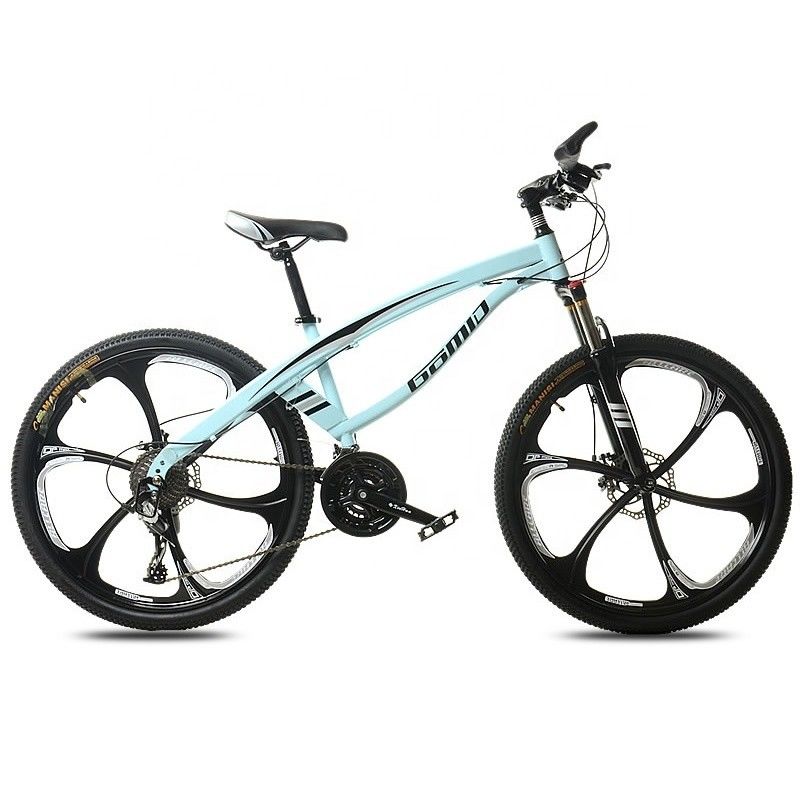 Individuell angepasst 20 24 26 Zoll Kohlenstoffstahl Stadt Mountainbike mit gewöhnlichem Pedal und komfortablem Schwalbenlenker