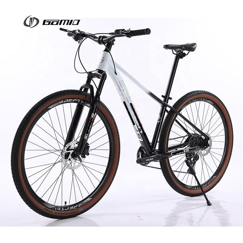 Aluminiumlegierung Felge Mountain Bike Gear Zyklus Hydraulische Gruppe 10 12 Geschwindigkeit MTB Bike 29 Zoll Fahrrad Custom OEM Bicicleta