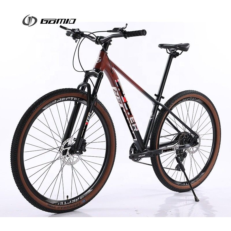 Glad lasframe Bicicleta Hydraulische groepset 29 inch Custom Bicycle10 12Speed ​​Mountain Bike OEM Adult Gear Cycle